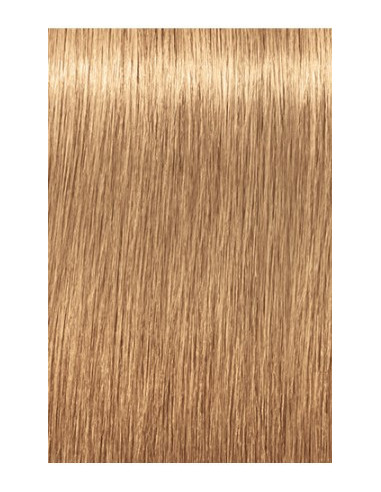 IGORA ROYAL Absolutes 9-560 permanenta krāsa sirmu matu krāsošanai 60ml