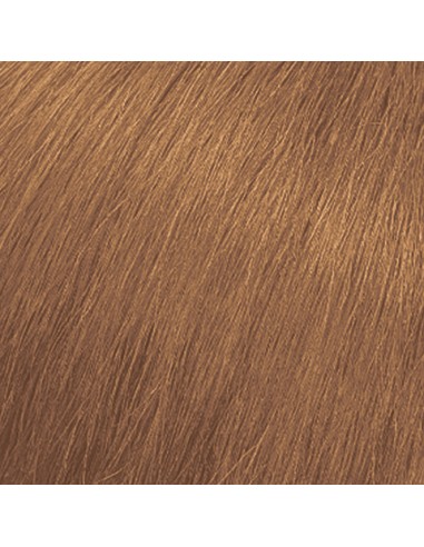 SOCOLOR SYNC Pre-Bonded 6WN 90ml