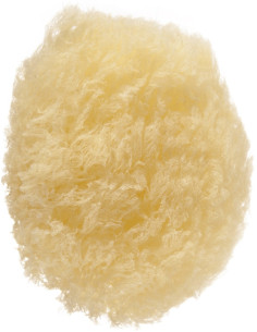 Sponge, natural, oval 1pc.