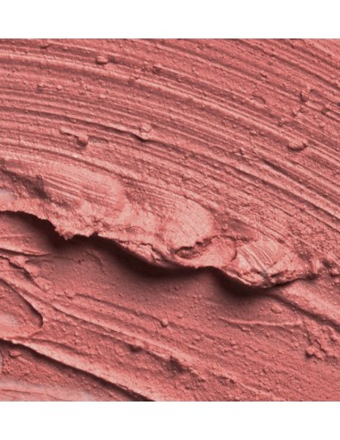 SLA PARIS Pro lipstick - Rose Kiss