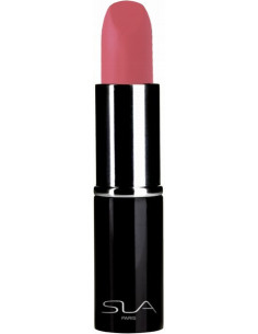 SLA PARIS Pro lipstick -...