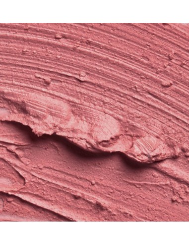 SLA PARIS Pro lipstick - Rose Legend