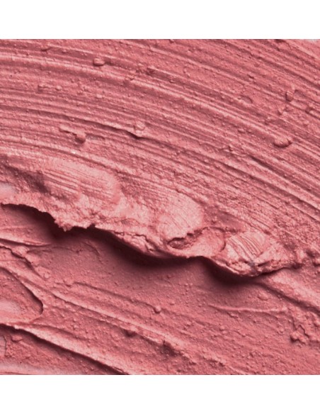 SLA PARIS Pro lipstick - Rose Legend