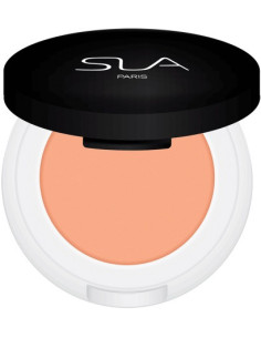 SLA PARIS CAKE CORRECTOR...