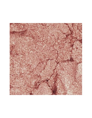 SLA PARIS Blush pink in cheek powder...