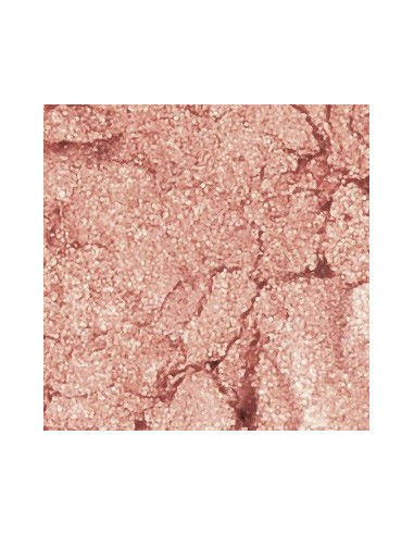 SLA PARIS Blush pink in cheek powder...