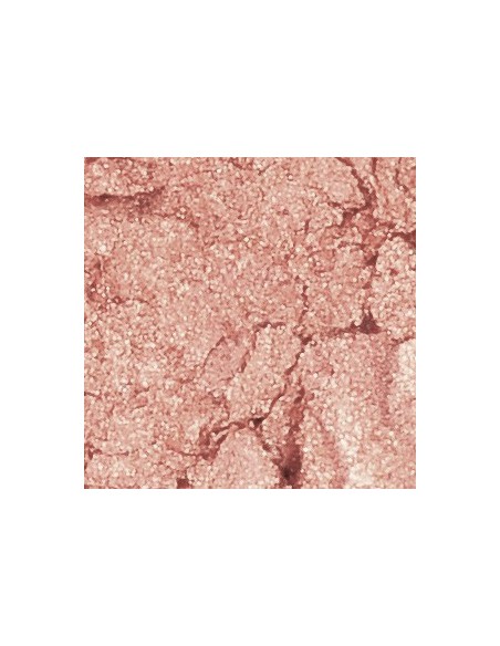 SLA PARIS Blush pink in cheek powder pink - Wild Land румяна 6.5гp