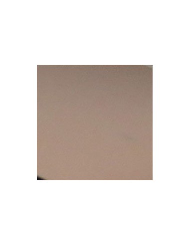 SLA PARIS Compact powder - Golden...