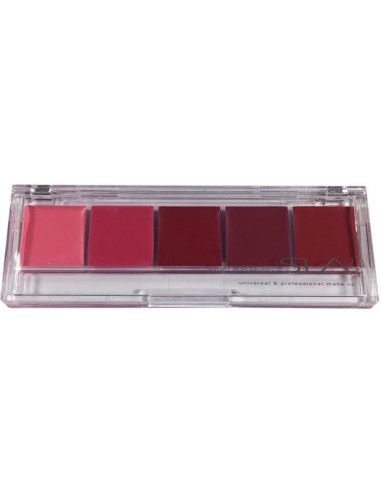 Lipstick Palette - Color Extreme Pro Composed of 5 shades 9g
