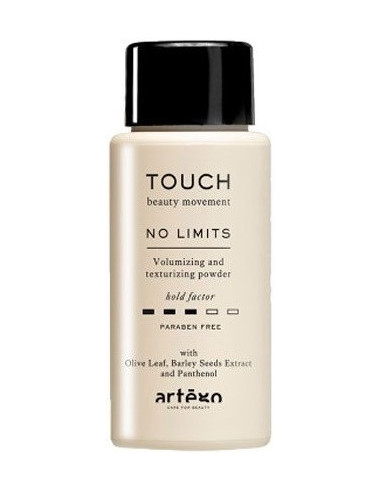 Artego Touch No Limit пудра 10г