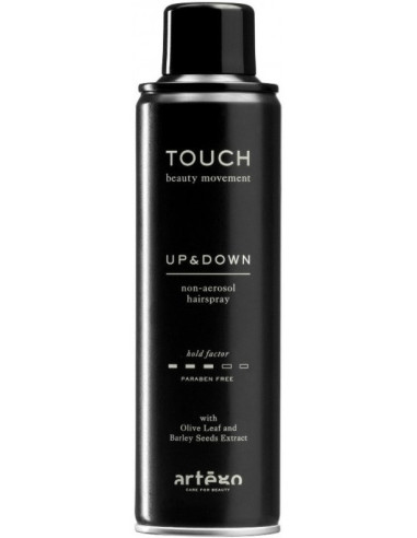 Artego Touch Up & Down hairspray 250ml