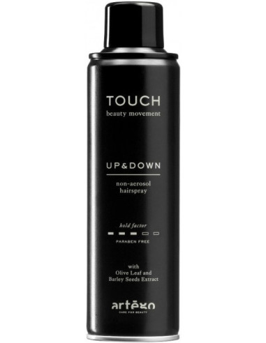 Artego Touch Up & Down лак для волос...