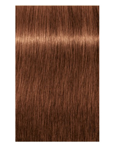 Schwarzkopf Igora Royal 7-57