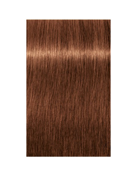 Schwarzkopf Igora Royal 7-57