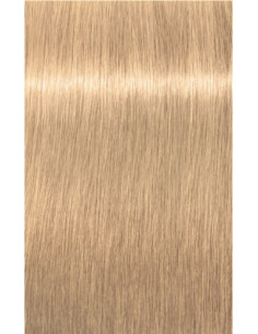 Schwarzkopf Igora Royal...
