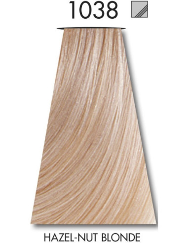 TINTA COLOR 1038  60ml