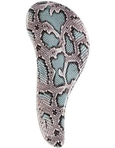 Brush Water Melon Sassy Snake 18pcs