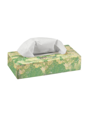 Cosmetic wipes, paper 2-ply, white, 100pcs.