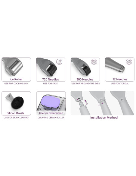 Derma rolleris mikroadatu ierīce, 6in1, ICE