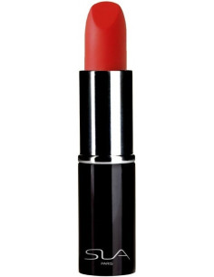 SLA PARIS Pro lipstick -...