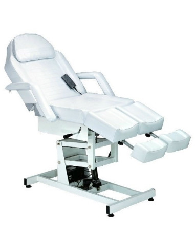 Pedicure bed with 2 motors Palm II