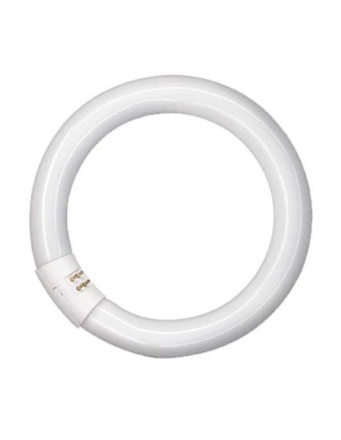 Fluorescent lamp for cosmetology magnifying lamp, 22 W