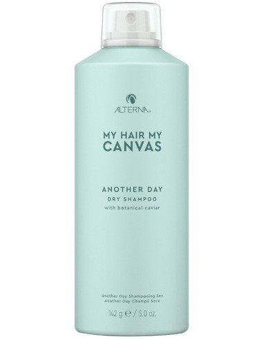 ALTERNA MY HAIR MY CANVAS Another Day Sausais šampūns 142ml