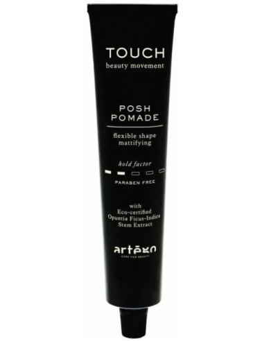 Touch Posh Pomade помада 100мл