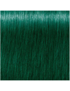 CREA-BOLD  Teal Green matu...