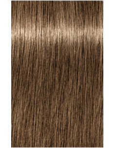 Schwarzkopf Igora Royal 8-00