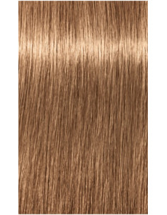 Schwarzkopf Igora Royal 8-65
