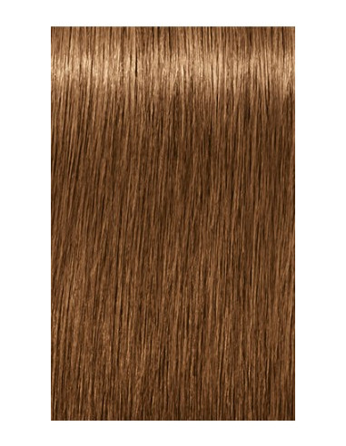 IGORA ROYAL Absolutes 7-450 hair color 60ml