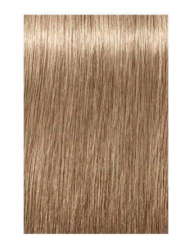 IGORA ROYAL Absolutes 8-140 hair color 60ml