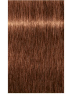 Schwarzkopf Igora Royal 7-57