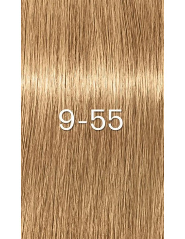 IG ZERO 9-55 matu krāsa 60ml