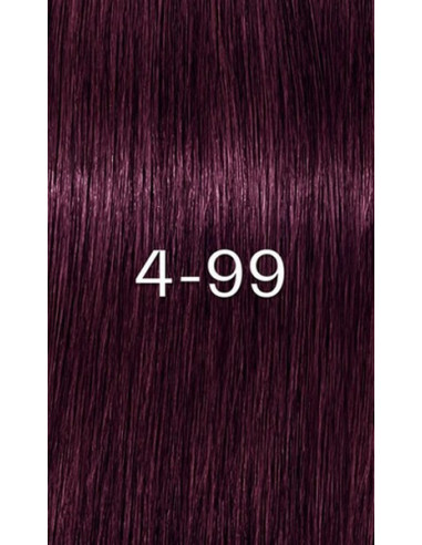 IG ZERO 4-99 hair color 60ml