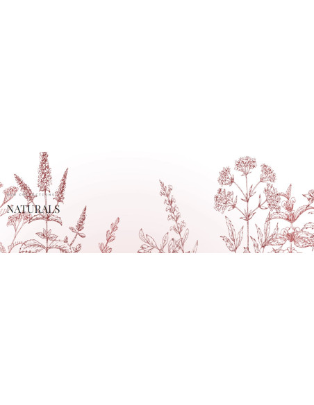 Naturals Лосьон для тела, садовая роза 250мл