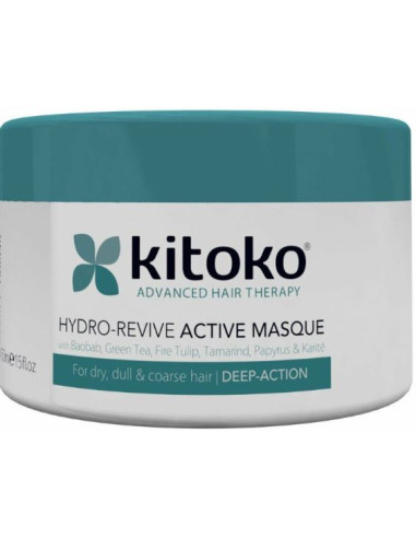 Hydro Revive Active Masque 450ml