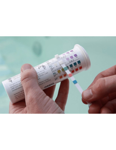 FreshWater Portable Spa 5-Way Test...