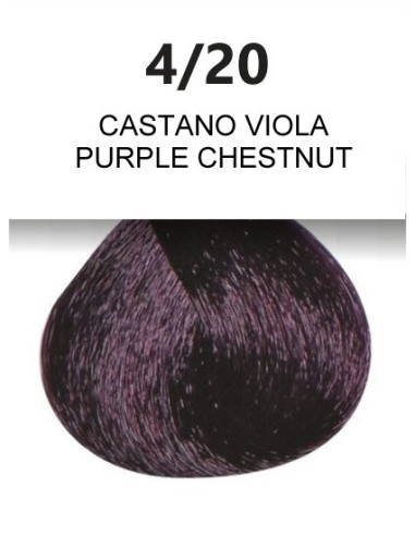 OYSTER PURITY Color without ammonia 4/20, Purple Chestnut 100ml