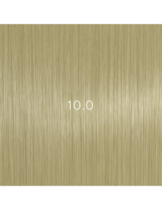 AURORA 10.0 permanenta matu...
