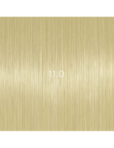 AURORA 11.0 permanenta matu krāsa 60ml