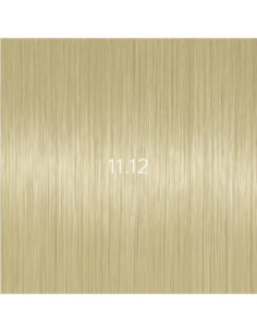 AURORA 11.12 permanenta...