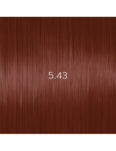 AURORA 5.43 краска для...