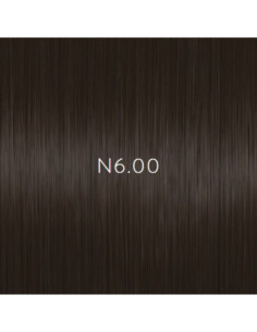AURORA N6.00 permanenta...
