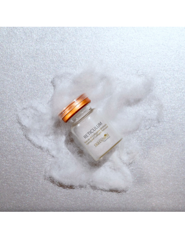 SkinSystem RETICULUM –...