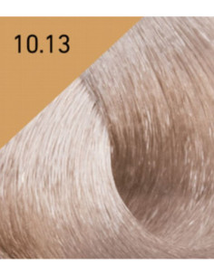 COLOR LUX Hair color 10.13...