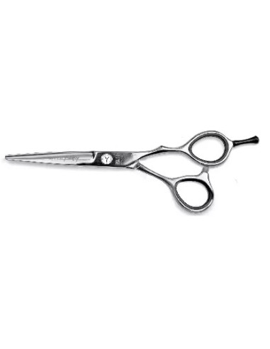 Komplekts -instrumenti matu griešanai...