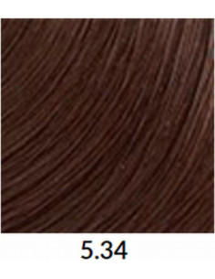 TINTA COLOR 5.34  60ml