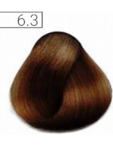 Absoluk Permanent hair color 6.3 100ml